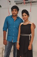 Green Signal Press Meet
